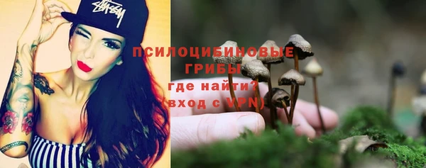 mdpv Богданович