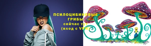 наркотики Бородино